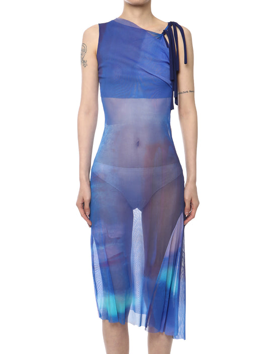 Paula Canovas del Vas Blue Cutout Mesh Dress